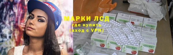 spice Богородицк