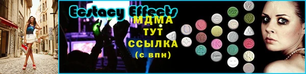 spice Богородицк