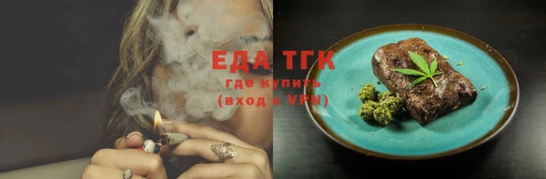 spice Богородицк