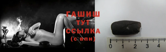 spice Богородицк