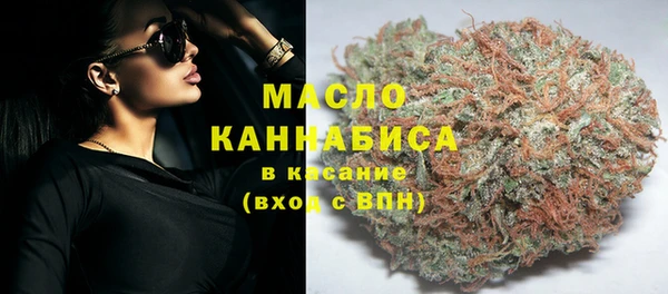 spice Богородицк