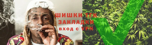 spice Богородицк