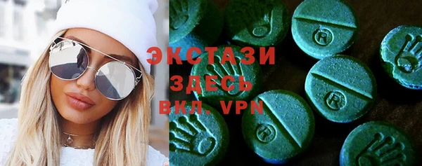 spice Богородицк