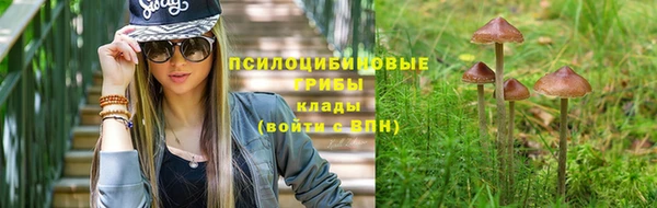 каннабис Богданович