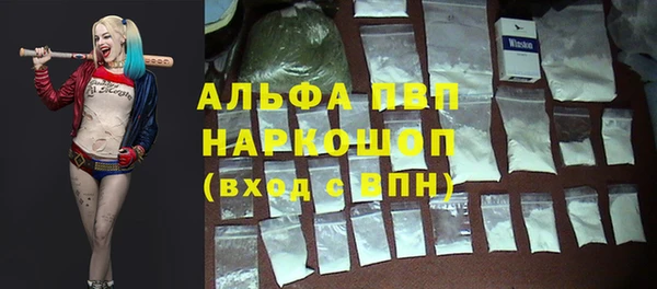 spice Богородицк