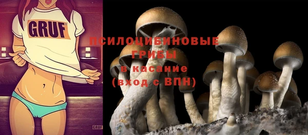каннабис Богданович