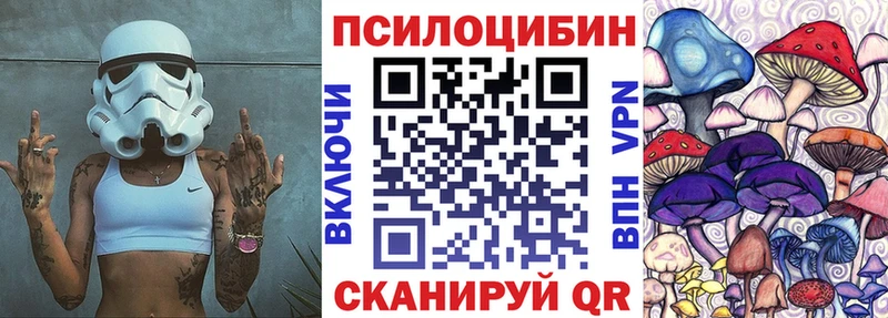 Псилоцибиновые грибы MAGIC MUSHROOMS  darknet телеграм  Верхний Тагил 